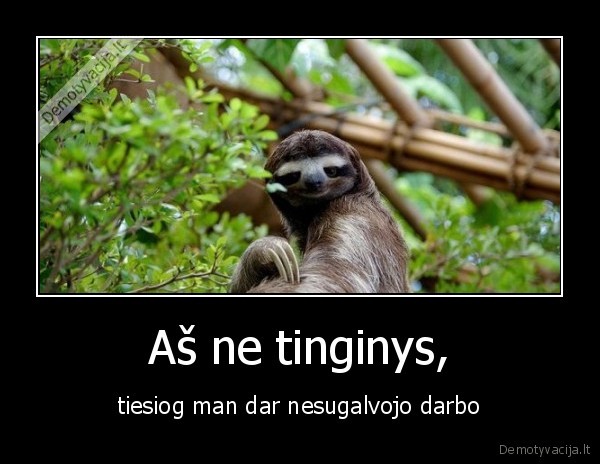 darbas,tinginys