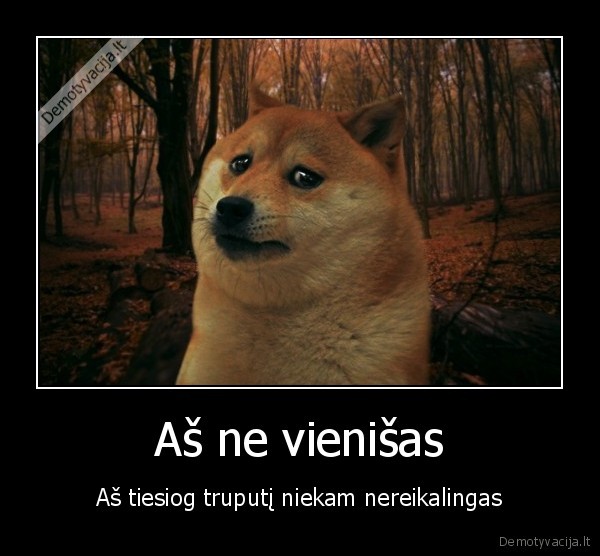vienatve,vienisumas