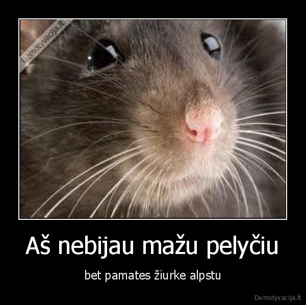 Aš nebijau mažu pelyčiu