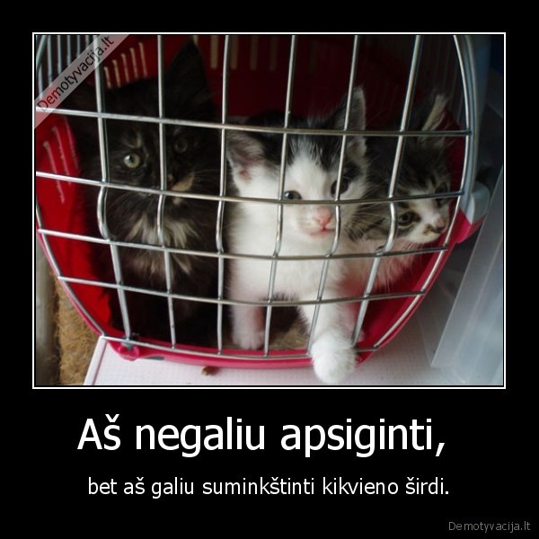 gyvunai,sirdis