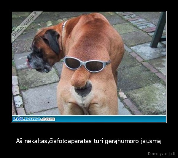 Aš nekaltas,čiafotoaparatas turi gerąhumoro jausmą