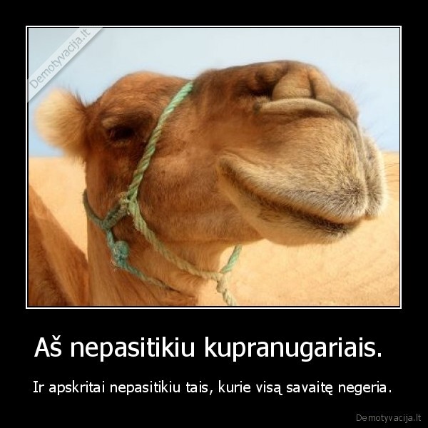 kupranugaris
