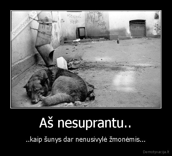 Aš nesuprantu..