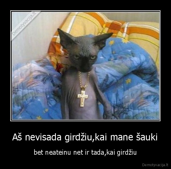 cat,kate,gangsta