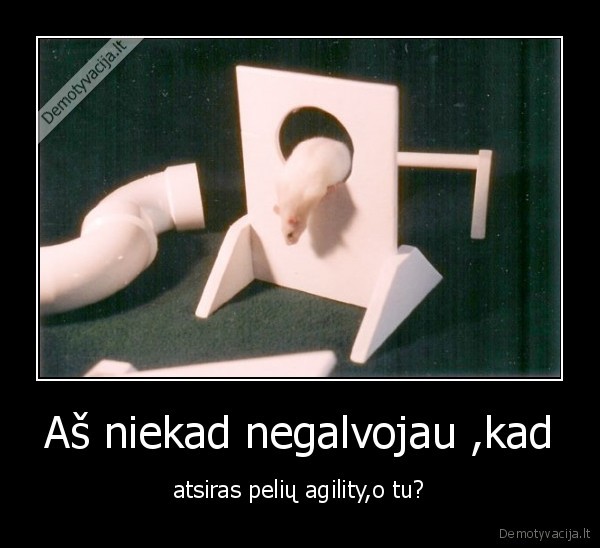 Aš niekad negalvojau ,kad