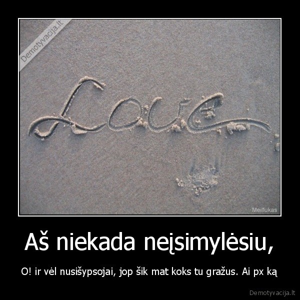 Aš niekada neįsimylėsiu,