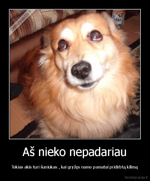 Aš nieko nepadariau