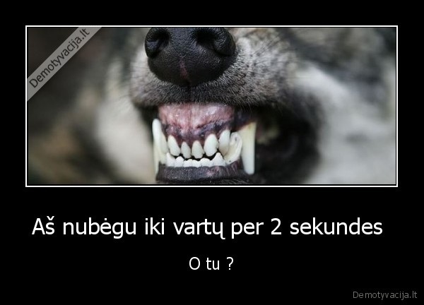 Aš nubėgu iki vartų per 2 sekundes 
