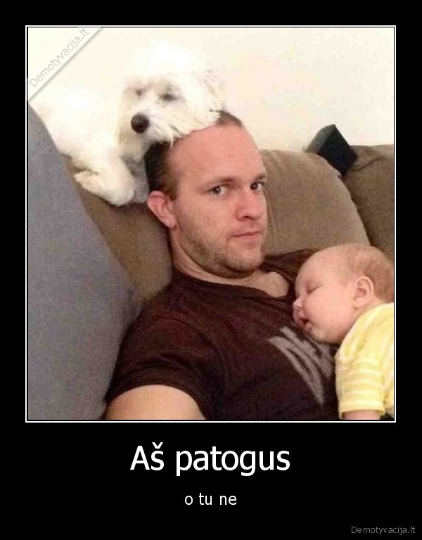 patogus