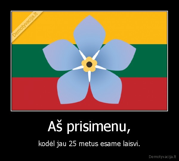 lietuva,laisve,sausio, 13,neuzmirstuole
