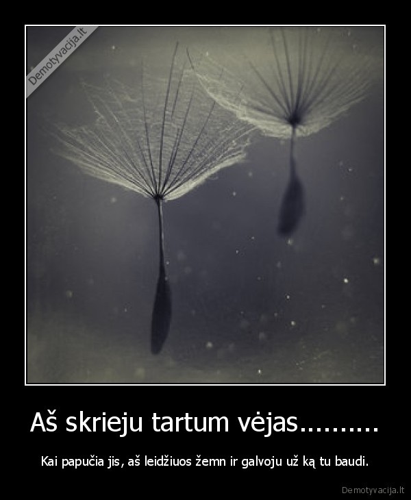 Aš skrieju tartum vėjas..........