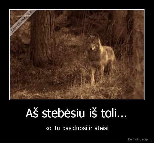 Aš stebėsiu iš toli...