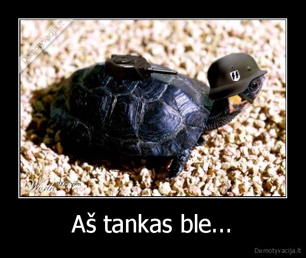 vezlys,tankas