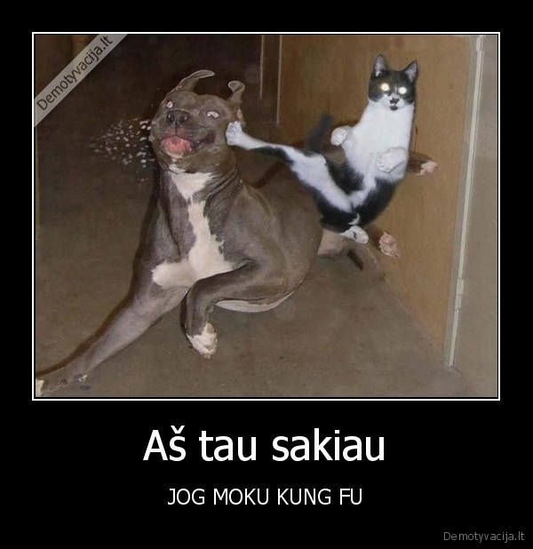 Aš tau sakiau