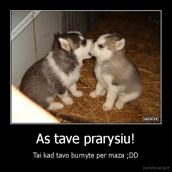 gyvunas