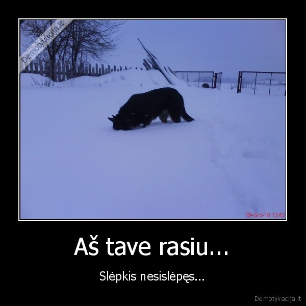 Aš tave rasiu...