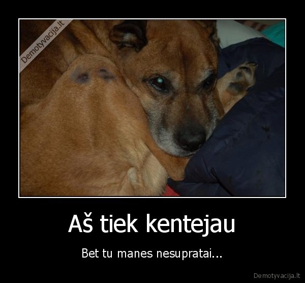 gyvunai