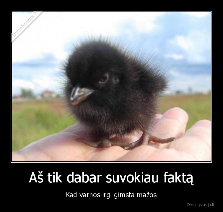 varniukai,varnos