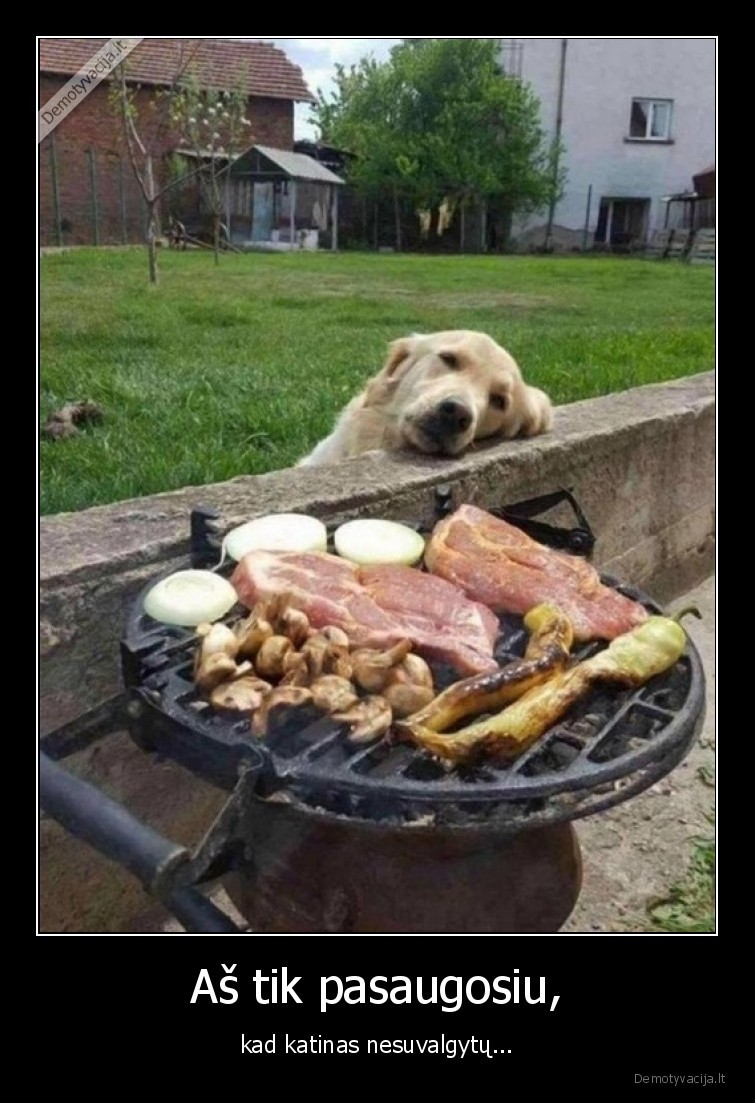 saugoti,suo,maistas,barbekiu