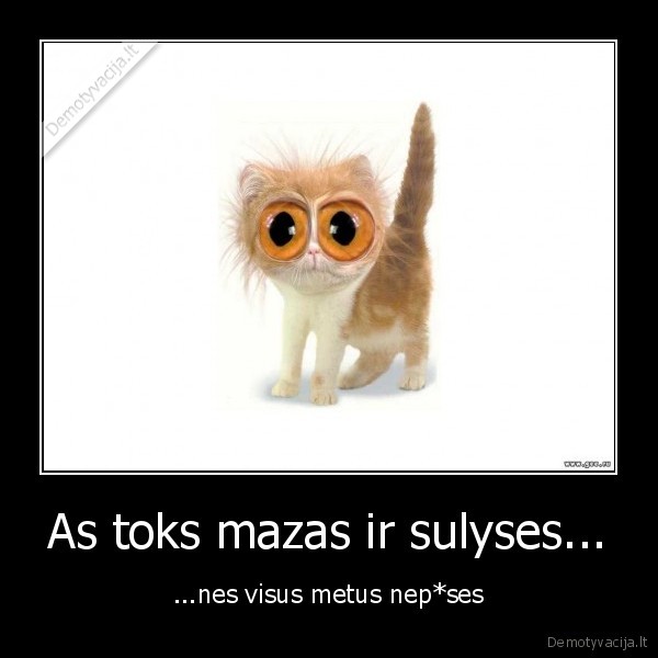 As toks mazas ir sulyses...