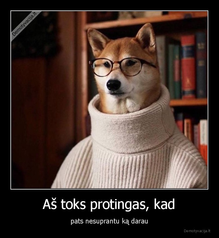 protingas,nesuprantu,ka, darau,sunys,suo,stilius