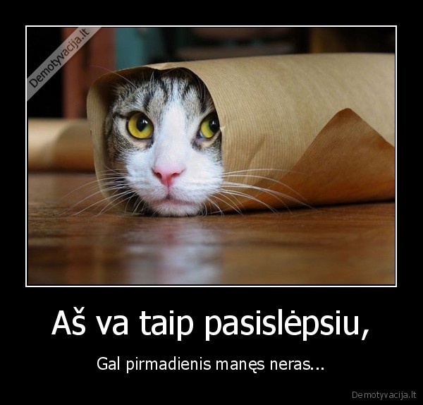 Aš va taip pasislėpsiu,