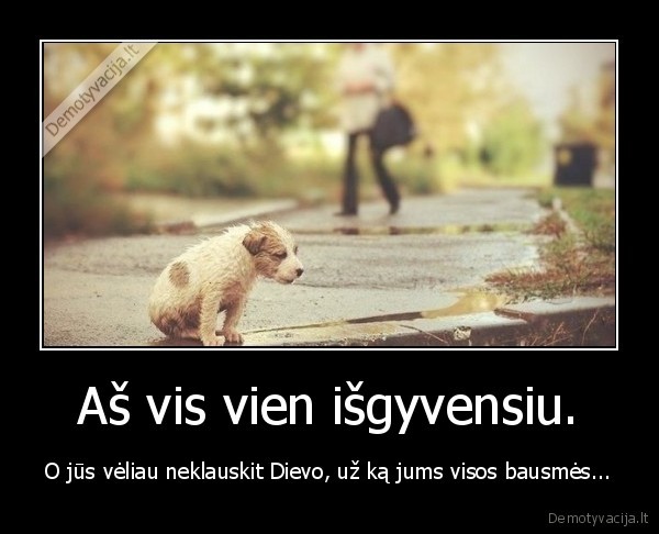 suniukas,suo,gyvunai,atlygint