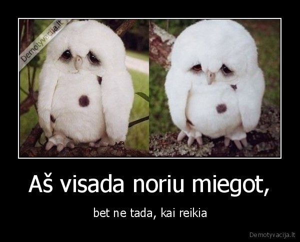 miegoti,noreti