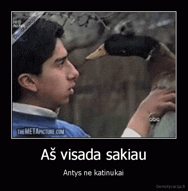 Aš visada sakiau