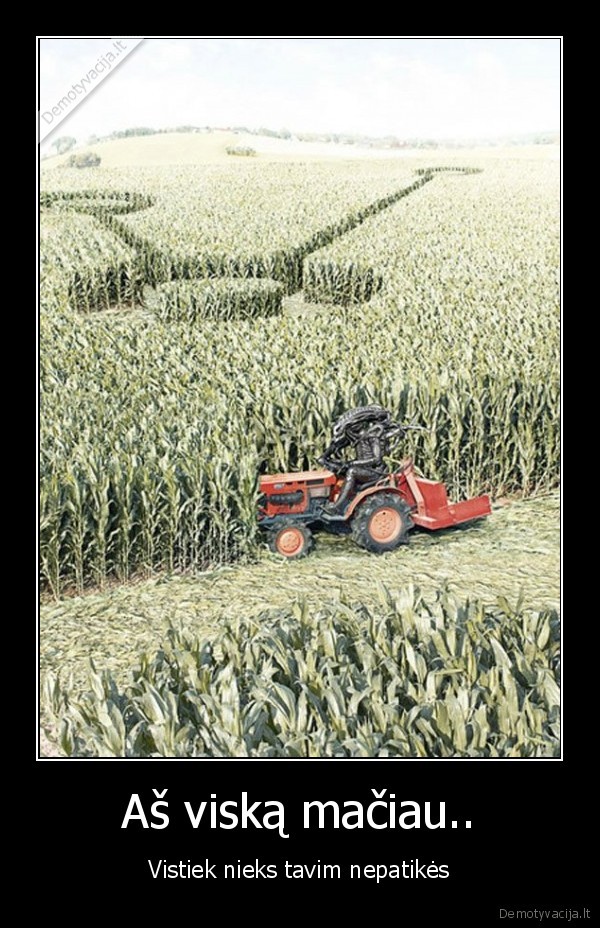 Aš viską mačiau..
