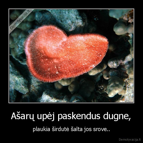 Ašarų upėj paskendus dugne,