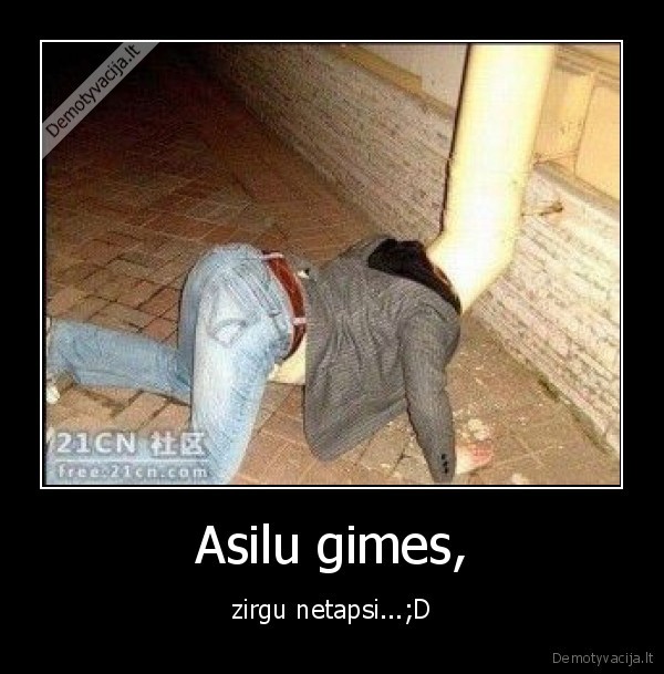 Asilu gimes,