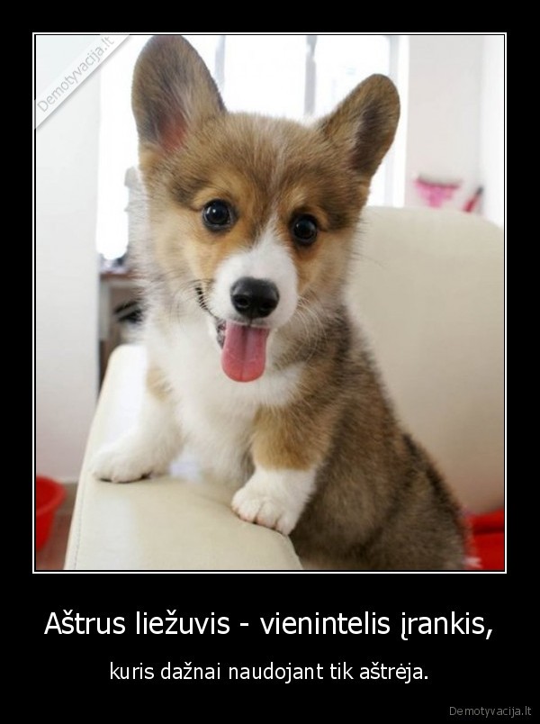 liezuvis