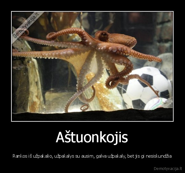 nesiskundzia