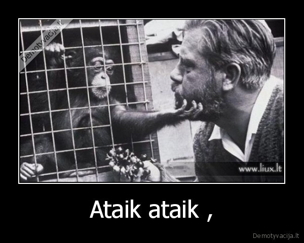 Ataik ataik ,