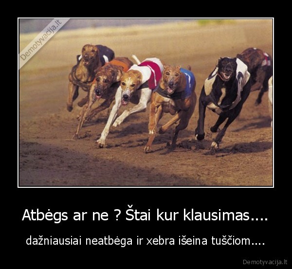 betkas