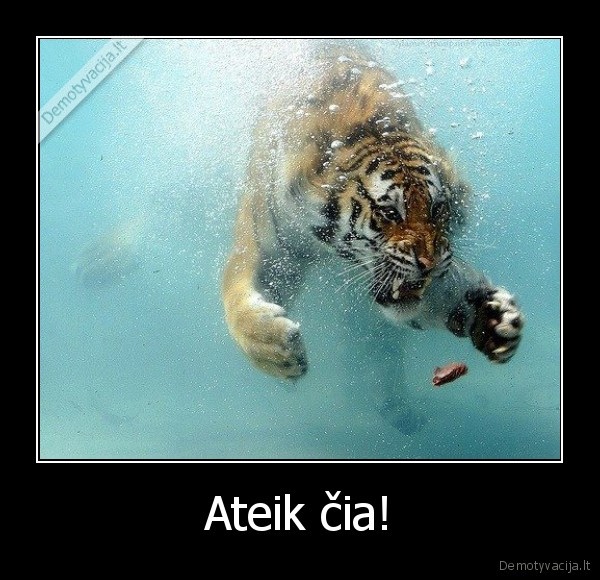 Ateik čia!