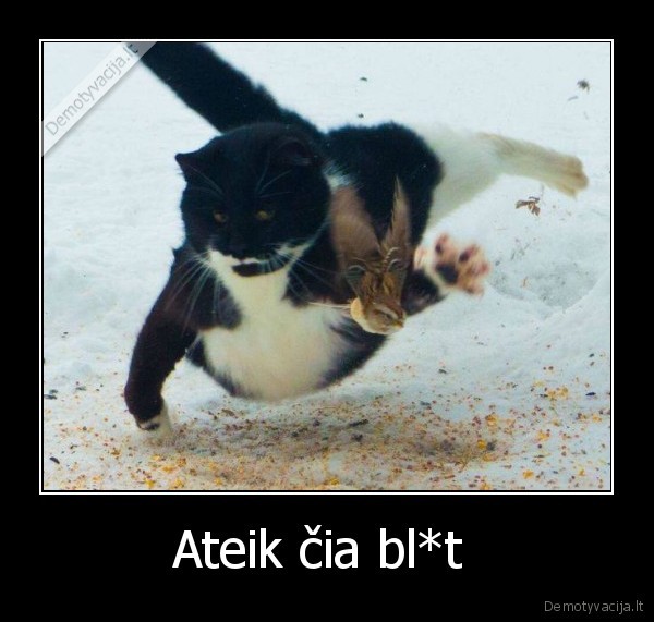 Ateik čia bl*t 