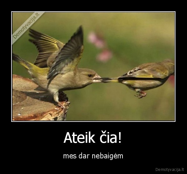 Ateik čia!