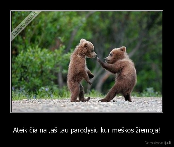 meskos