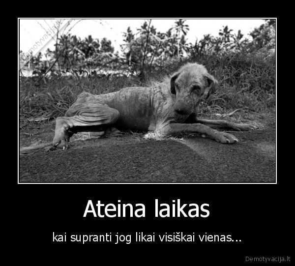 vienatve,senatve,gyvenimas
