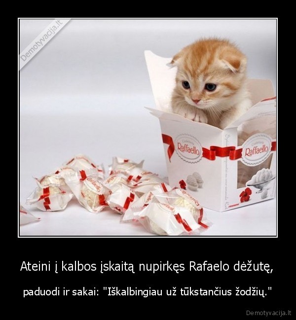 Ateini į kalbos įskaitą nupirkęs Rafaelo dėžutę,