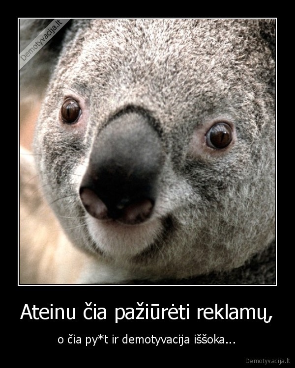 reklama