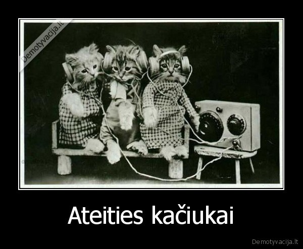kaciukai