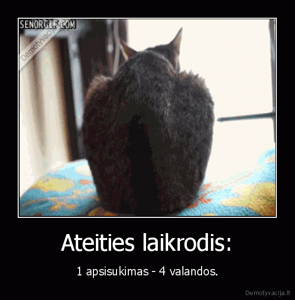 kates,geras, gyvenimas