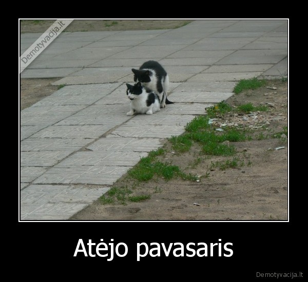 Atėjo pavasaris