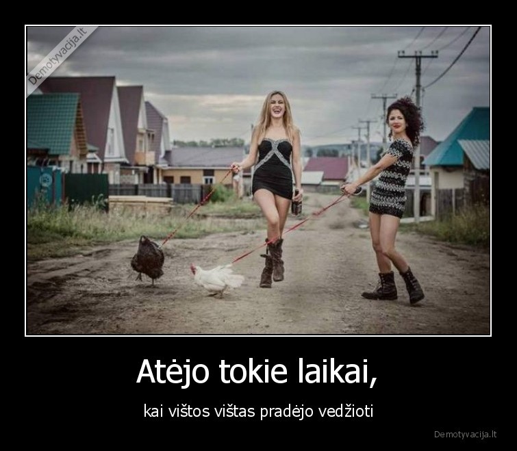 vistos