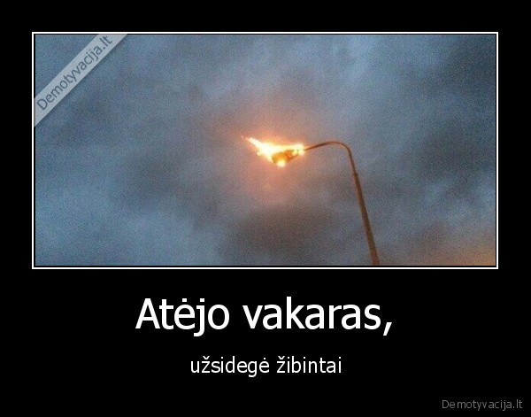 zibintai