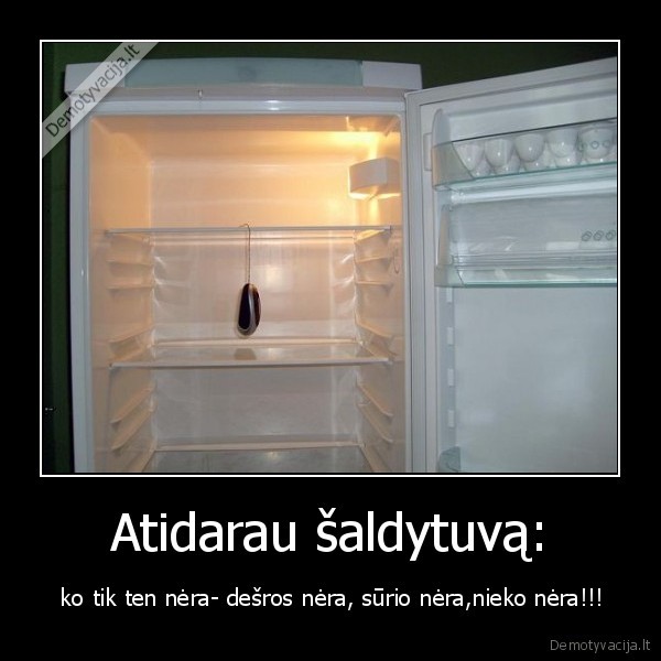 Atidarau šaldytuvą: