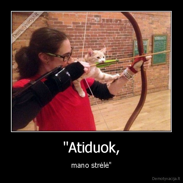 kate,katinas,strele